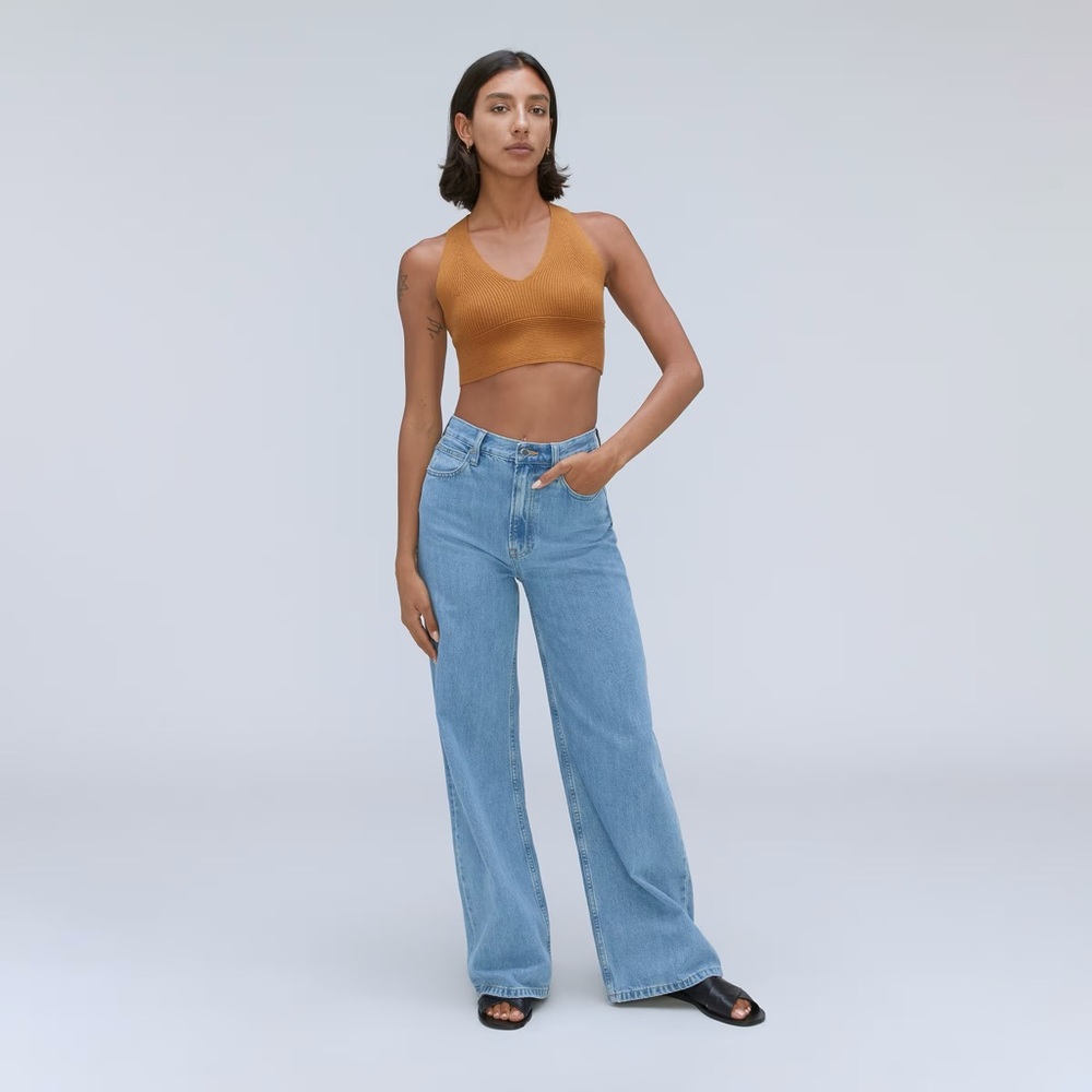 Everlane The Baggy Jean in Light Wash